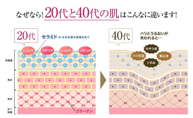 20代と40代の違い画像